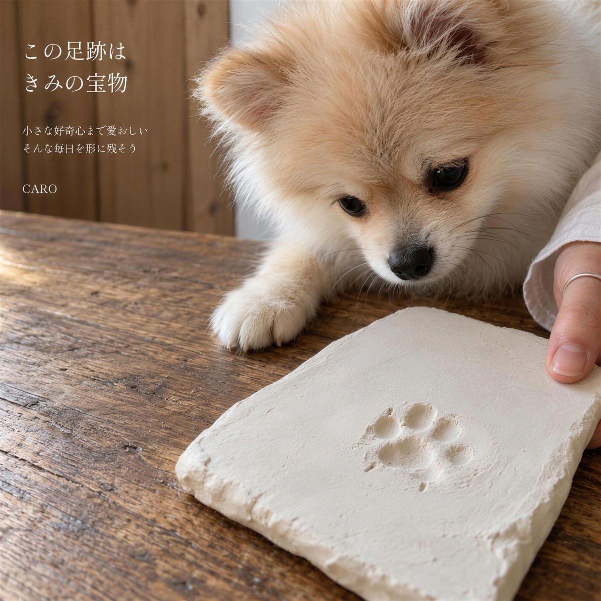 うちの子の思い出キット